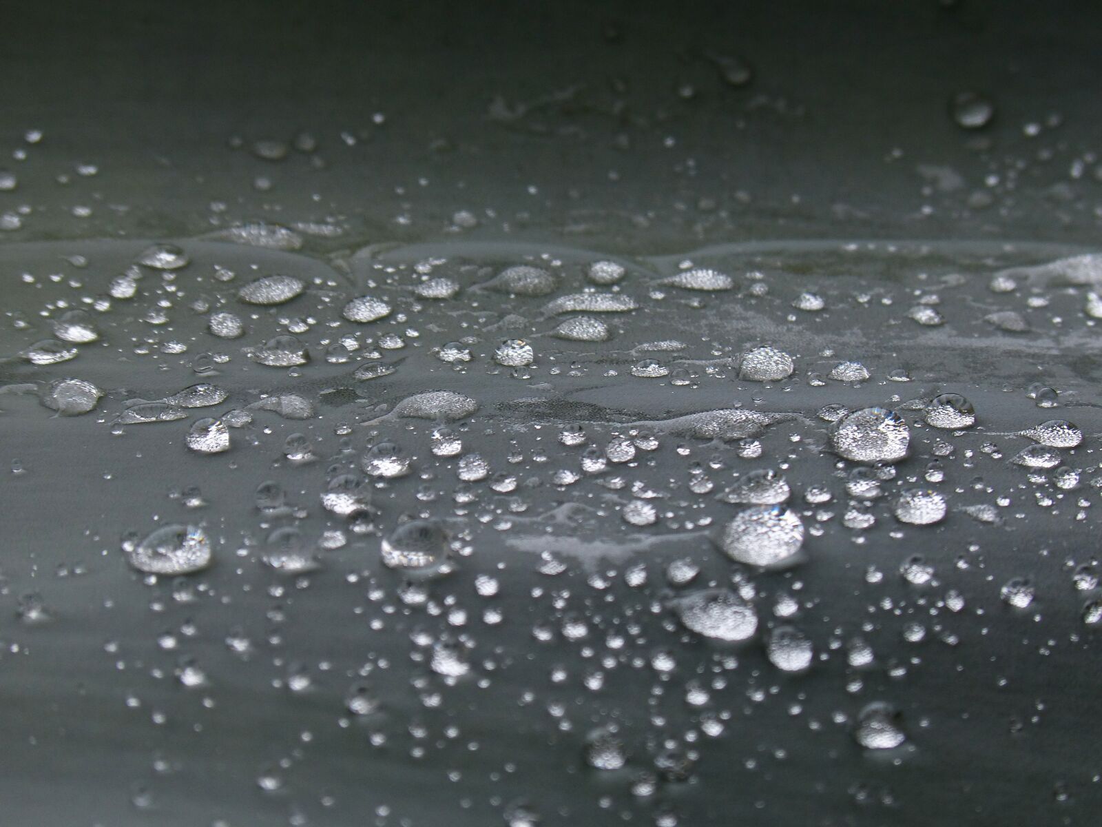 Panasonic DMC-FZ62 sample photo. Drops, surface, texture photography
