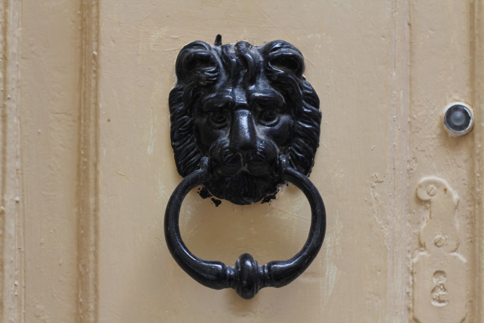 Canon EOS 550D (EOS Rebel T2i / EOS Kiss X4) sample photo. Door, knocker, lion photography