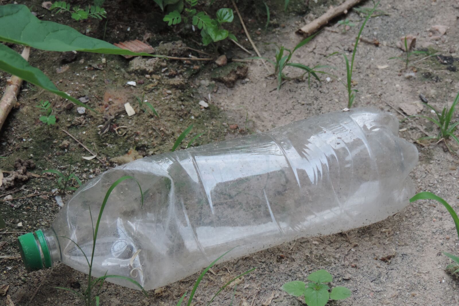 Nikon Coolpix P520 sample photo. Bottle, pet bottle, gallon photography