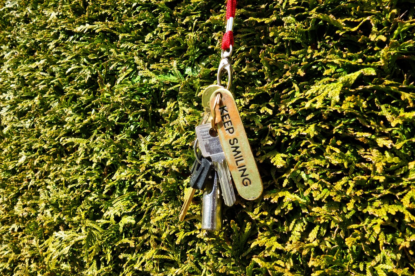 Sony Cyber-shot DSC-RX100 sample photo. Key, key chain, door photography