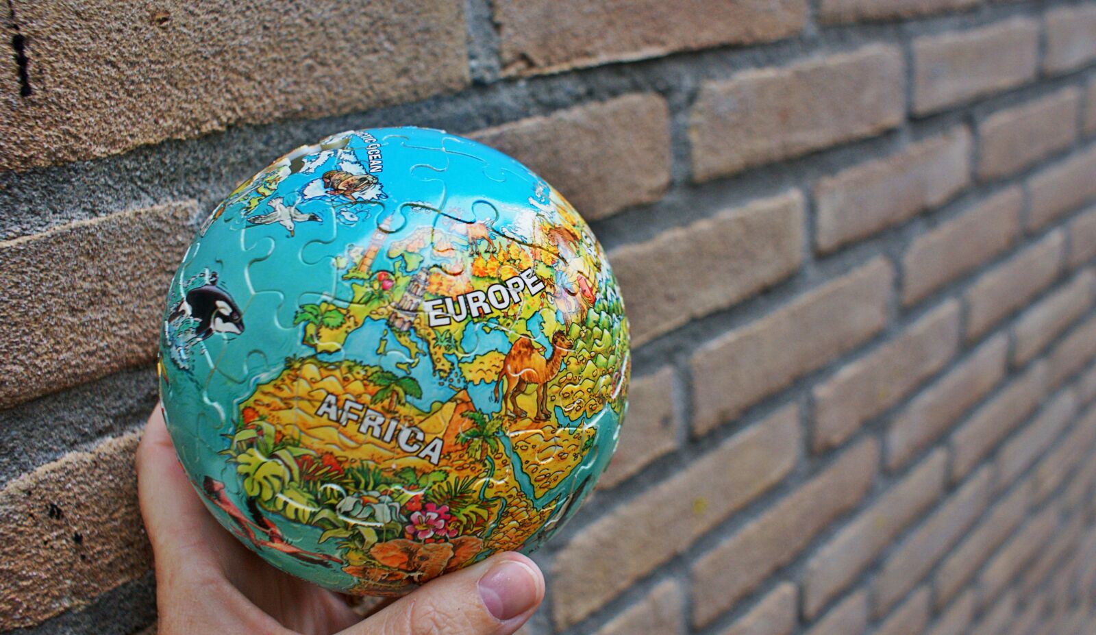 Sony Alpha DSLR-A350 sample photo. Globe, child, puzzling photography