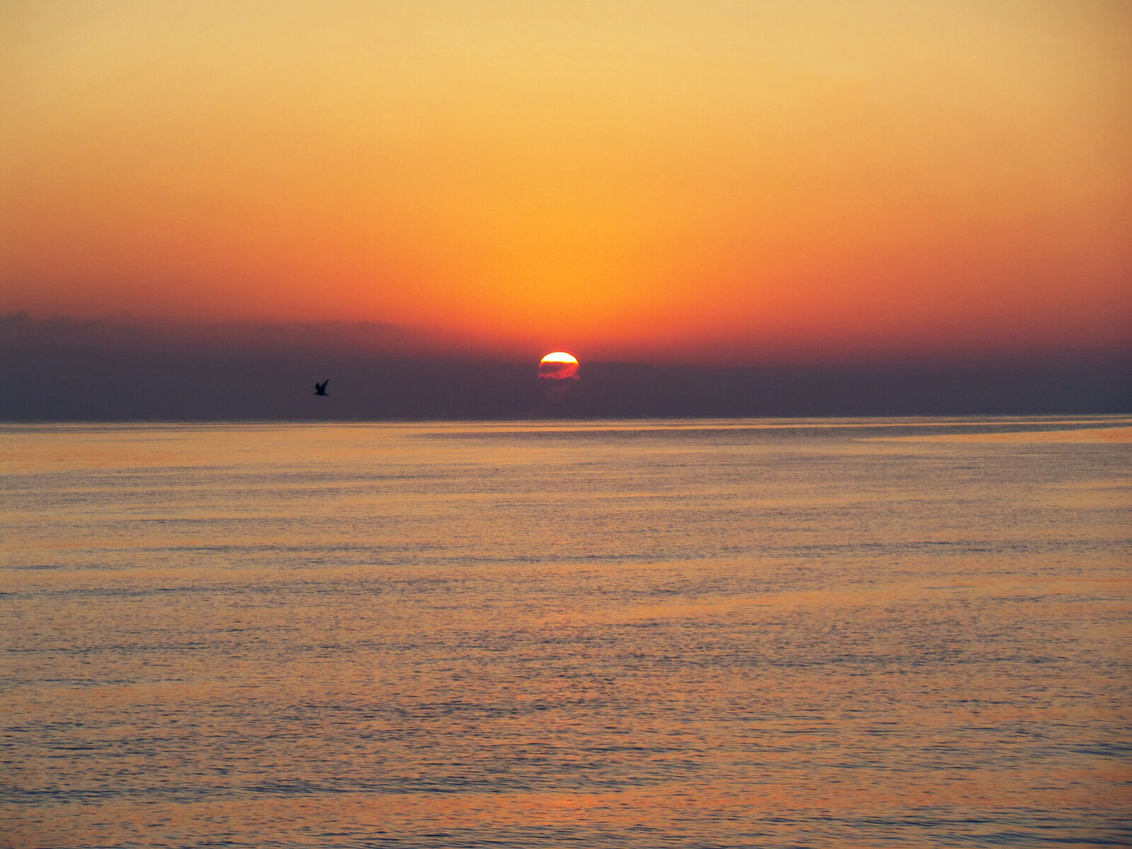 Samsung WB800F sample photo. Light, sea, dawn, landscape photography