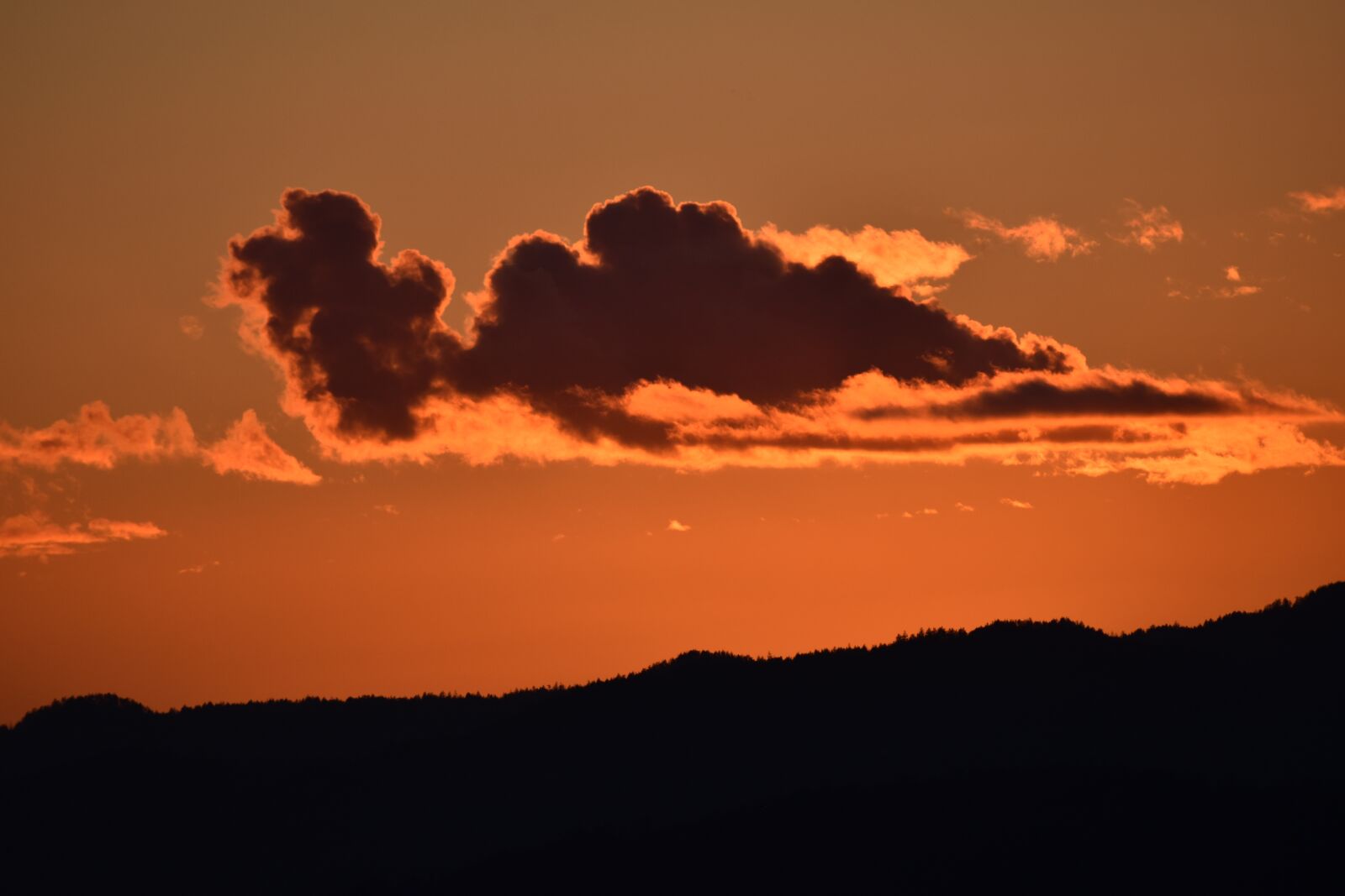 Nikon D5600 sample photo. West coast, british columbia photography