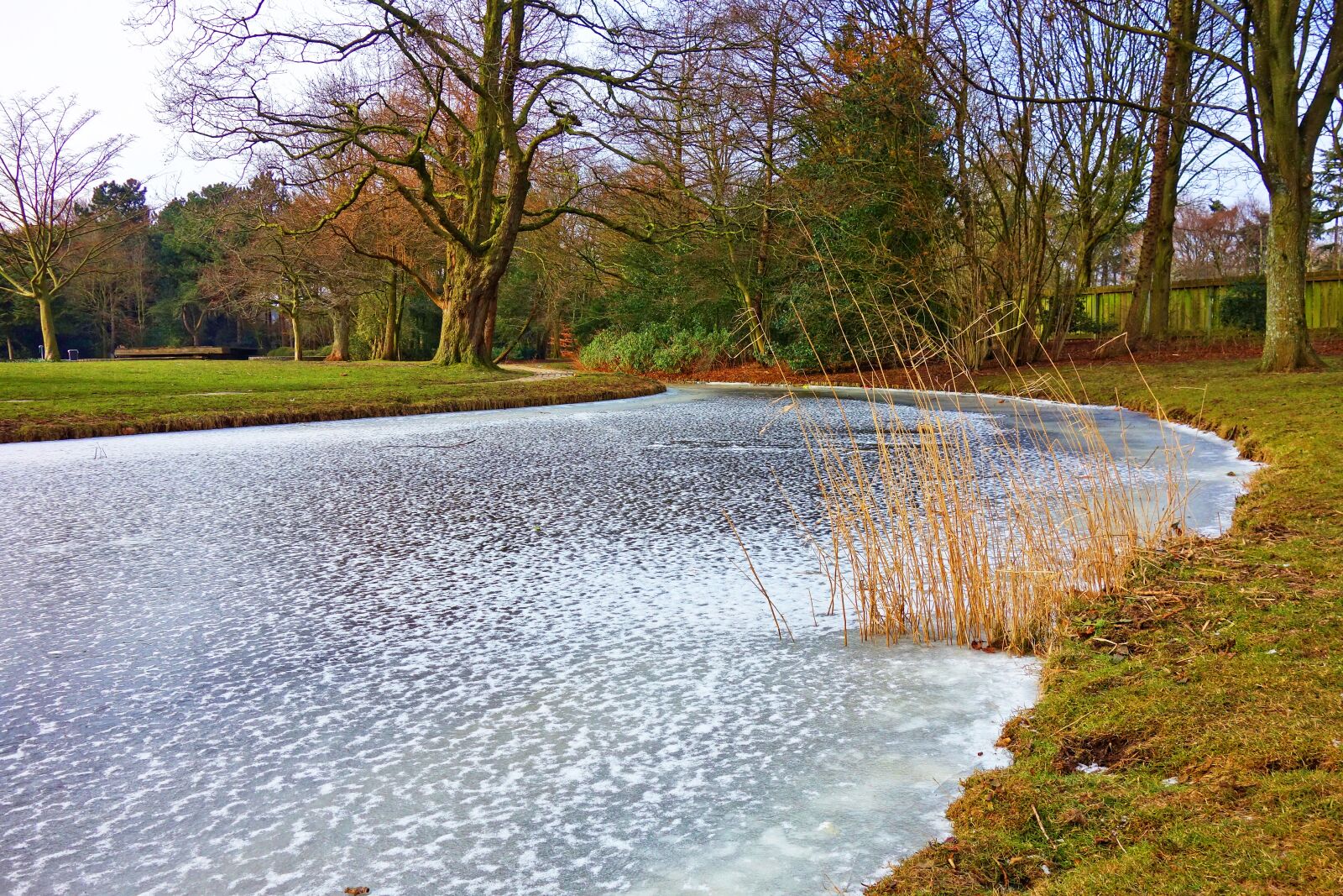 Sony Cyber-shot DSC-RX100 sample photo. Frozen, ice, pond photography