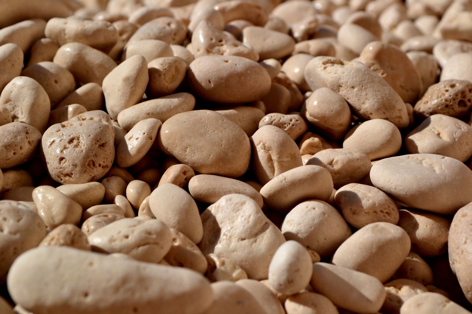 Nikon D3100 sample photo. The stones, beach, pebbles photography