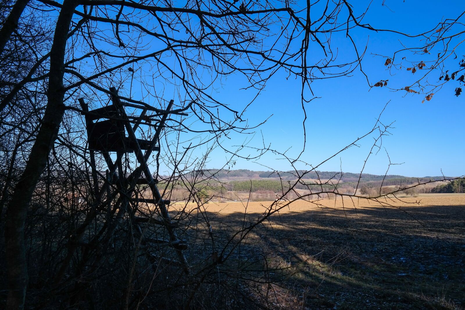 Samsung NX300 sample photo. Perch, outlook, hunting seat photography