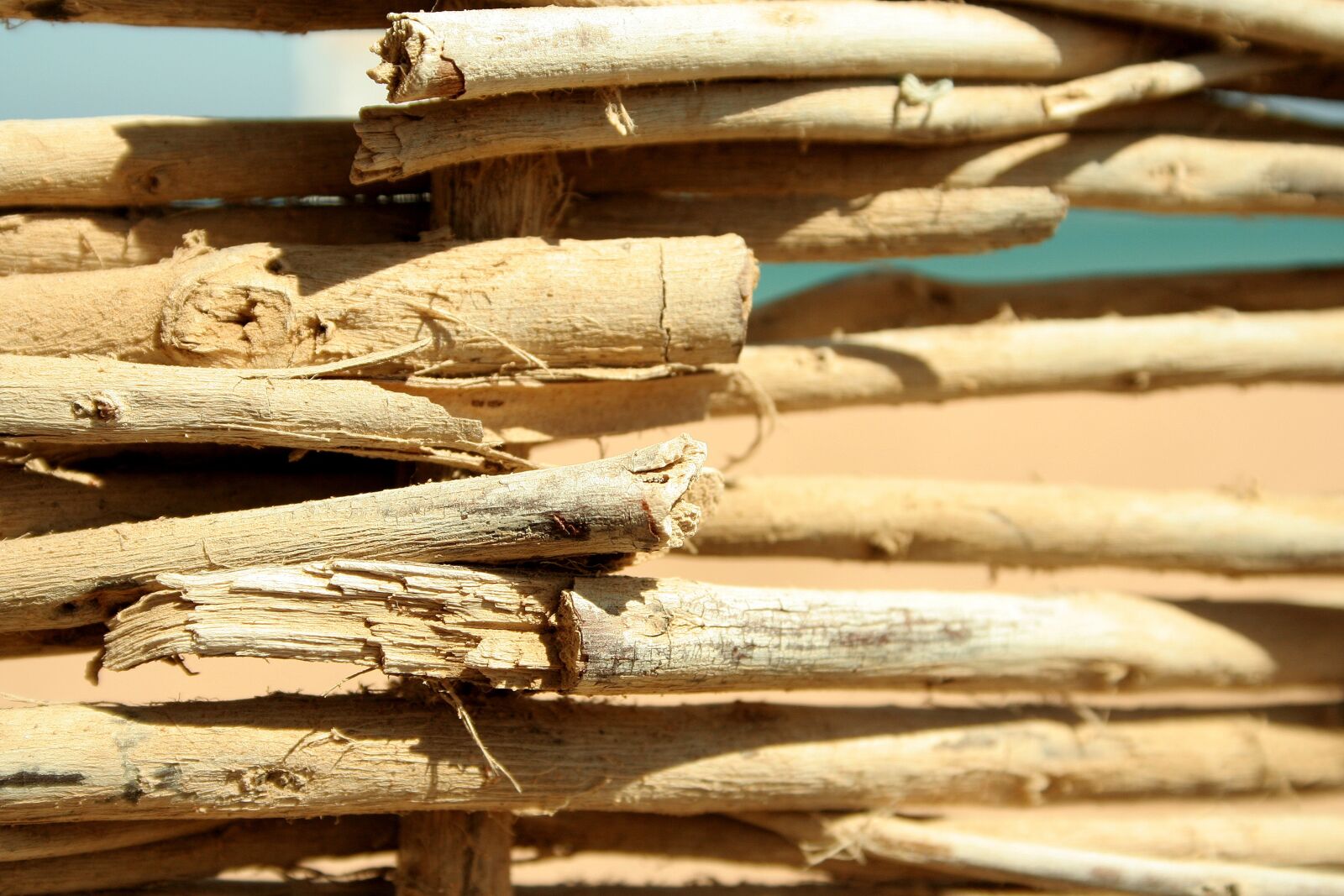 Canon EOS 350D (EOS Digital Rebel XT / EOS Kiss Digital N) sample photo. Background, wood, fence photography
