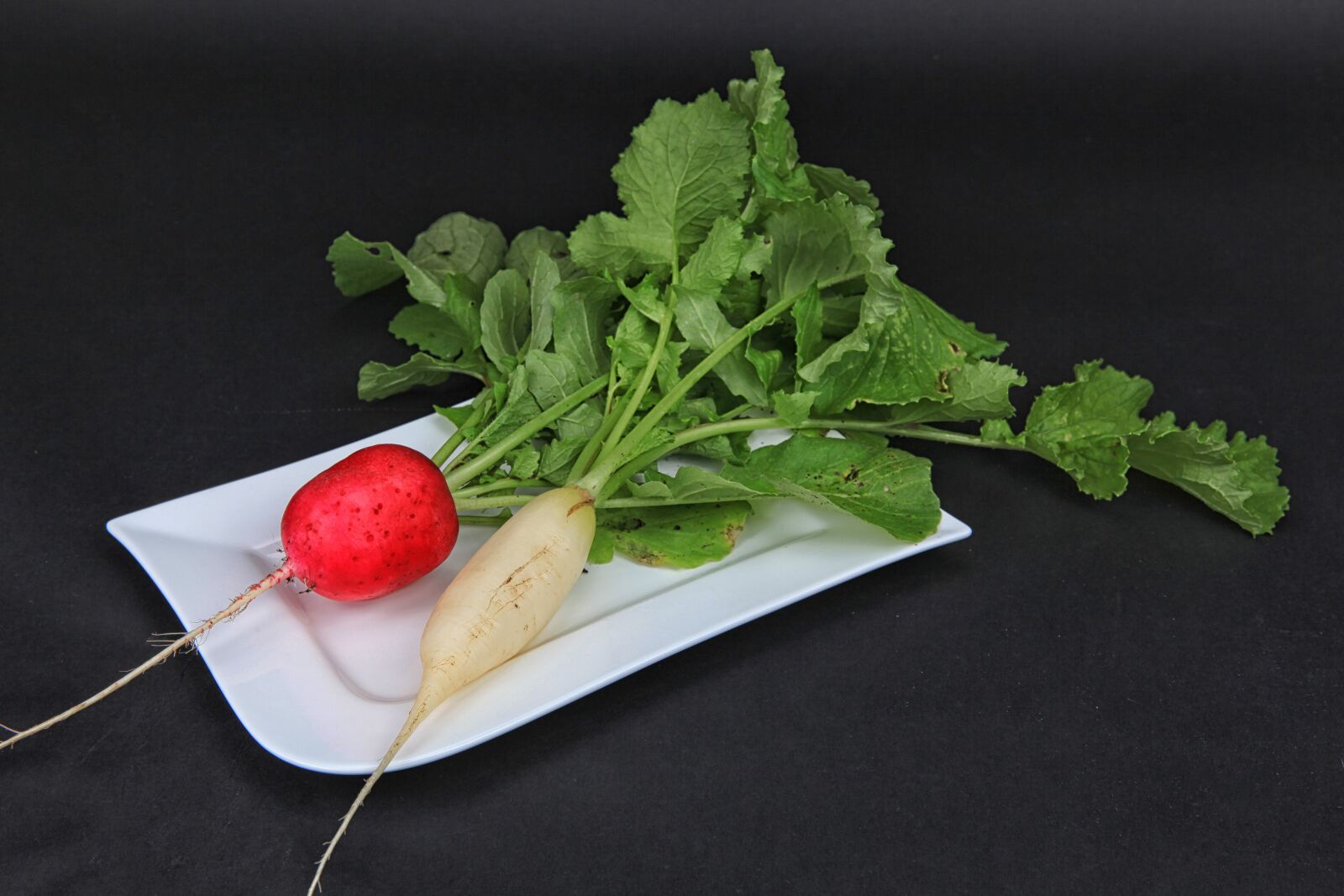 Canon EOS 5D Mark II sample photo. Radishes, harvest, vegetables photography
