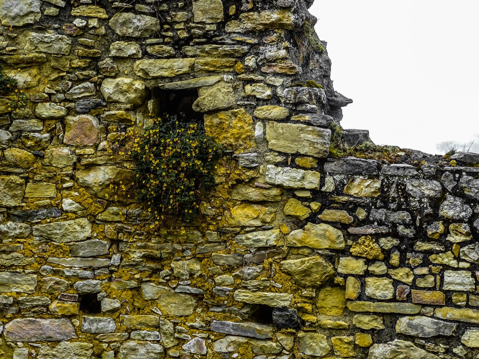 Sony Cyber-shot DSC-HX400V sample photo. Ruin, wall, stone wall photography