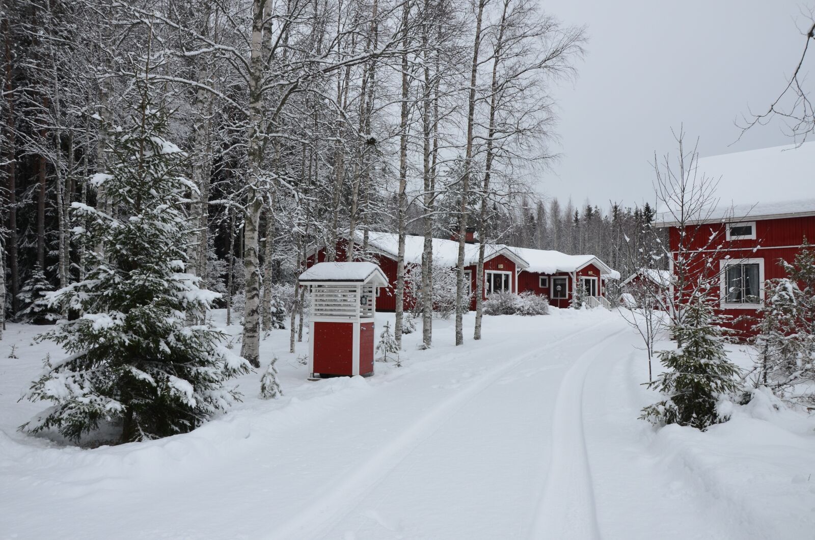 Nikon D5100 sample photo. Snow, winter, cold photography