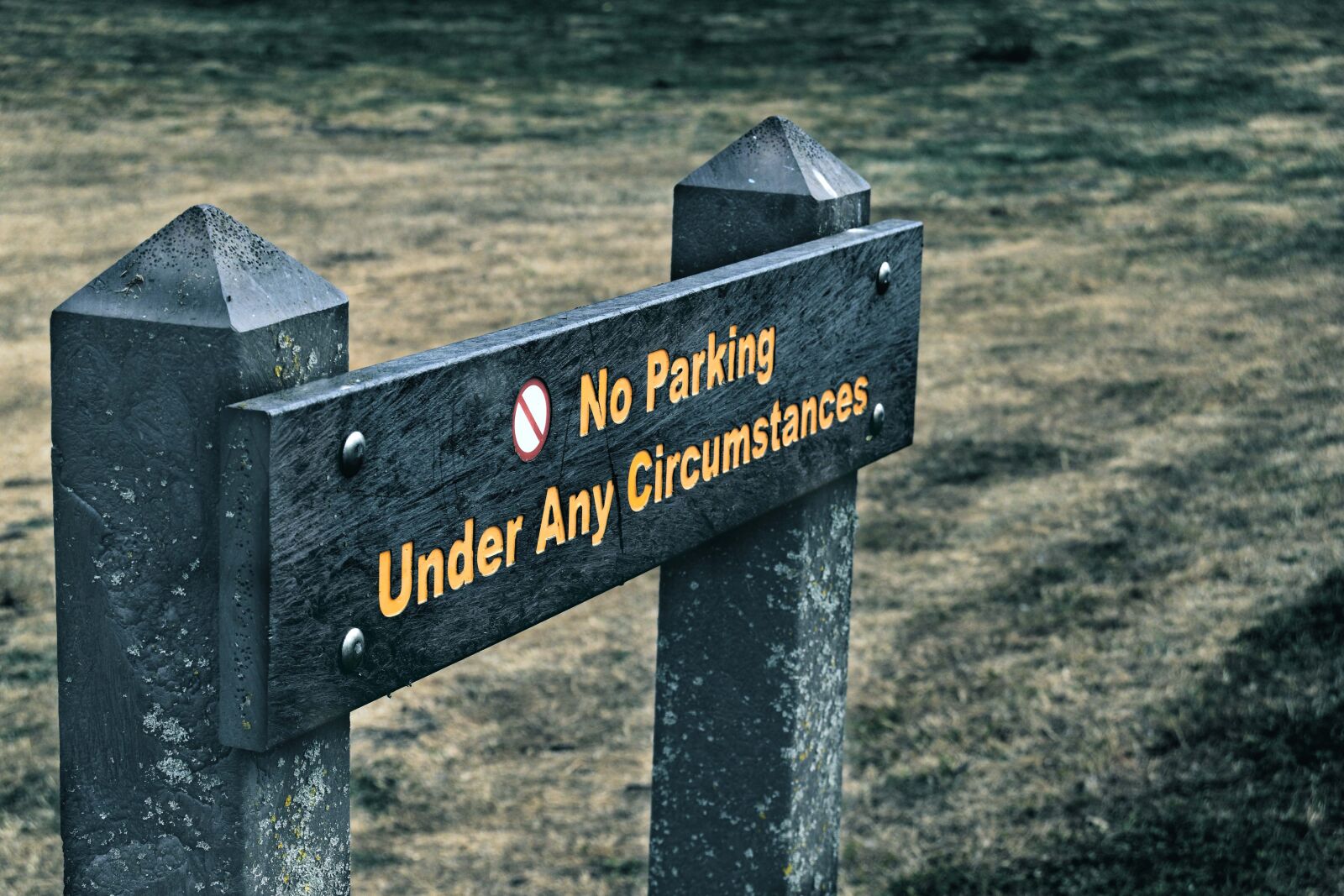 Nikon D3300 sample photo. No parking, sign, road photography