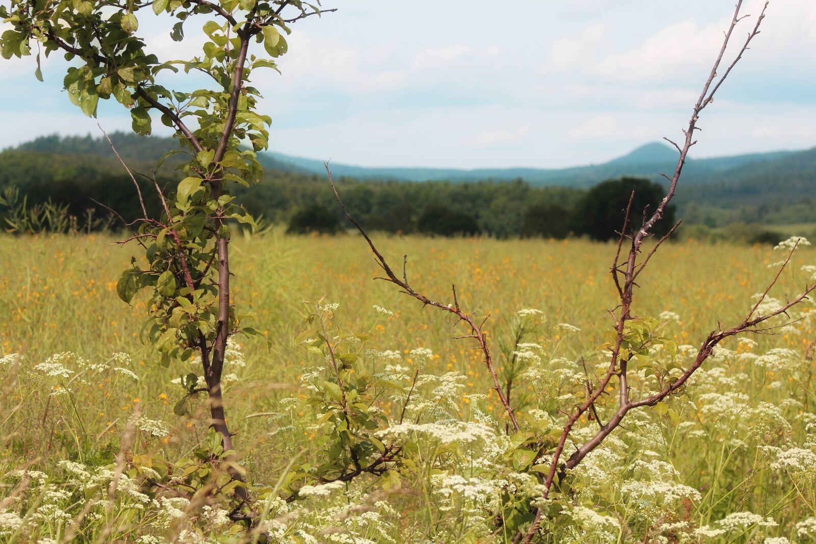 Canon EF75-300mm f/4-5.6 sample photo. Nature, view, landscape photography