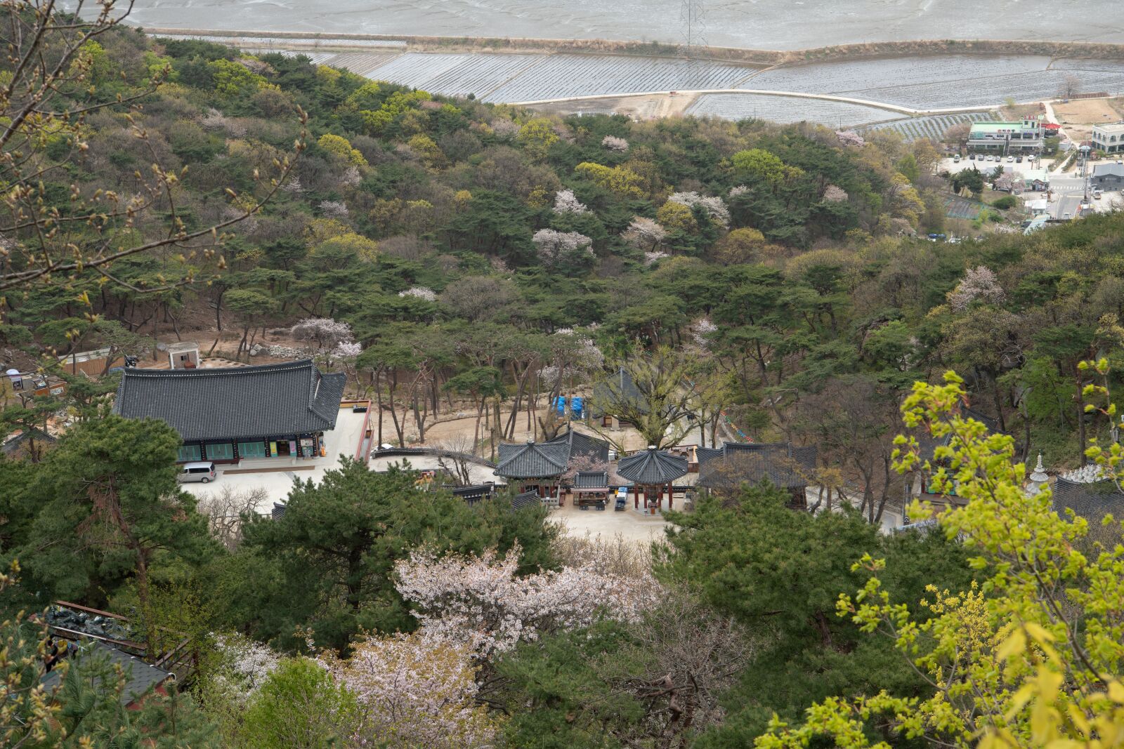 Nikon D850 sample photo. Ganghwado, bomunsa, buddhism photography