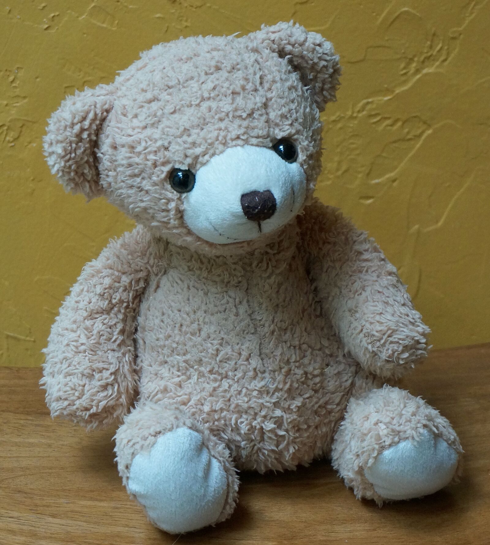 Sony Alpha NEX-5T sample photo. Old teddy bear, teddy photography