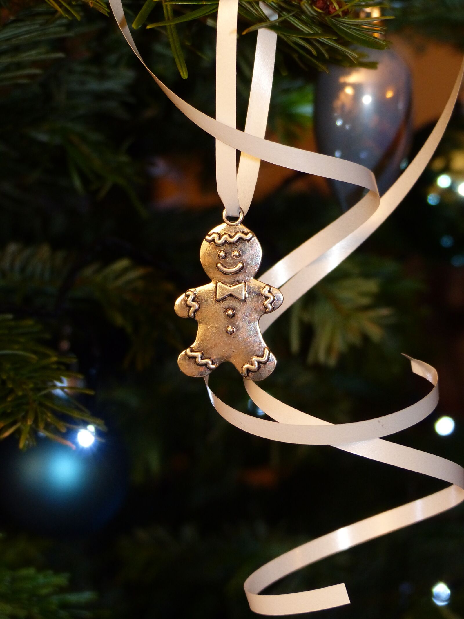 Panasonic Lumix DMC-FZ200 sample photo. Snowman, gingerbread, maennele photography