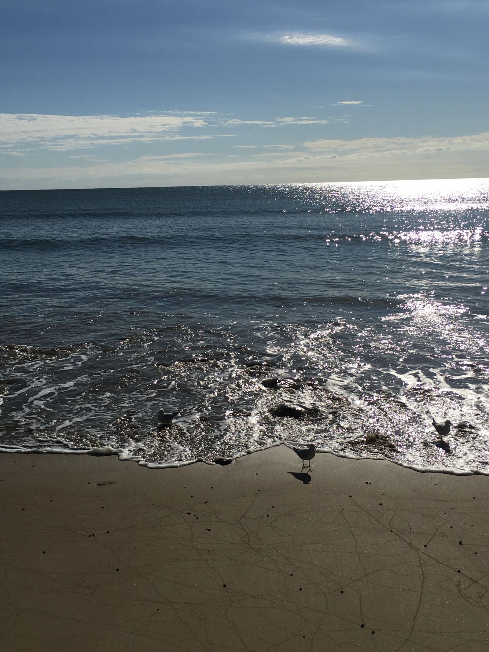 Apple iPhone 6s sample photo. Beach, ocean, seagulls photography