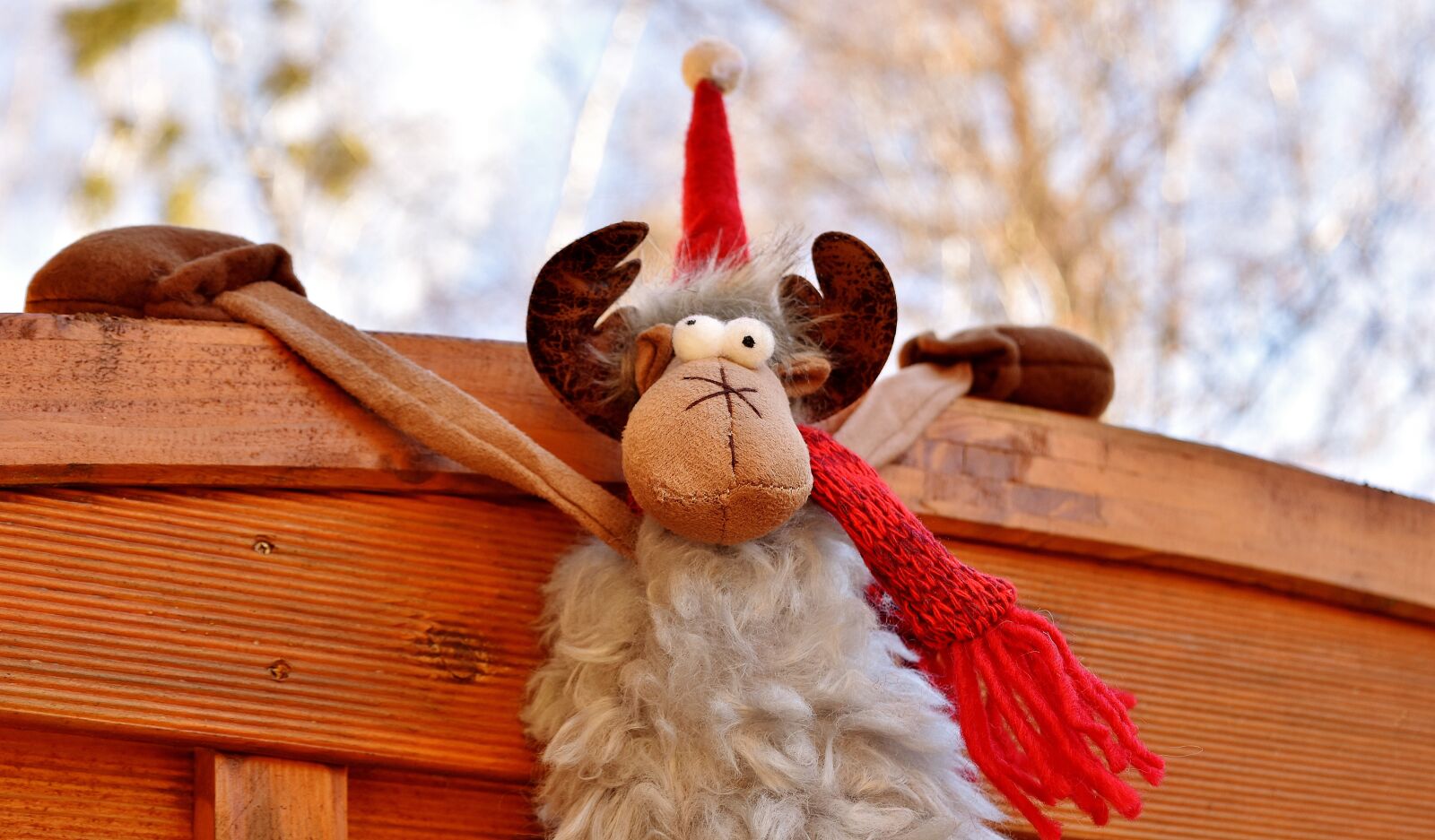 Nikon D7200 sample photo. Moose, christmas, santa hat photography