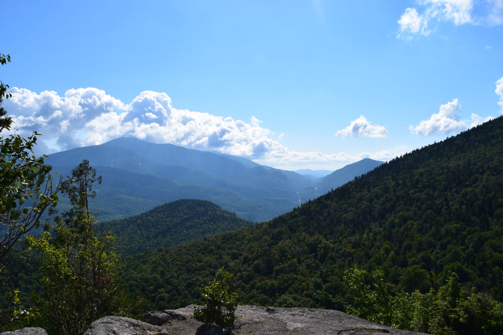 Nikon D3300 sample photo. Adirondacks, forest, hike, mountain photography