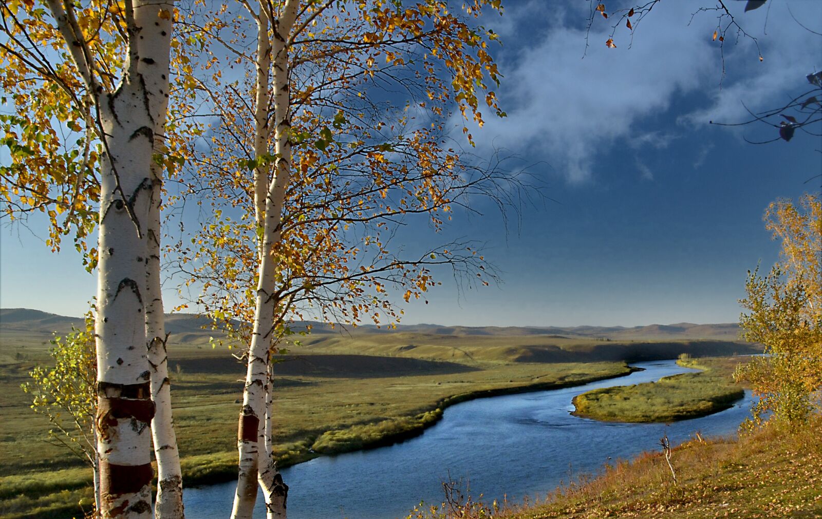 Nikon D3100 sample photo. Nature, tree, landscape photography