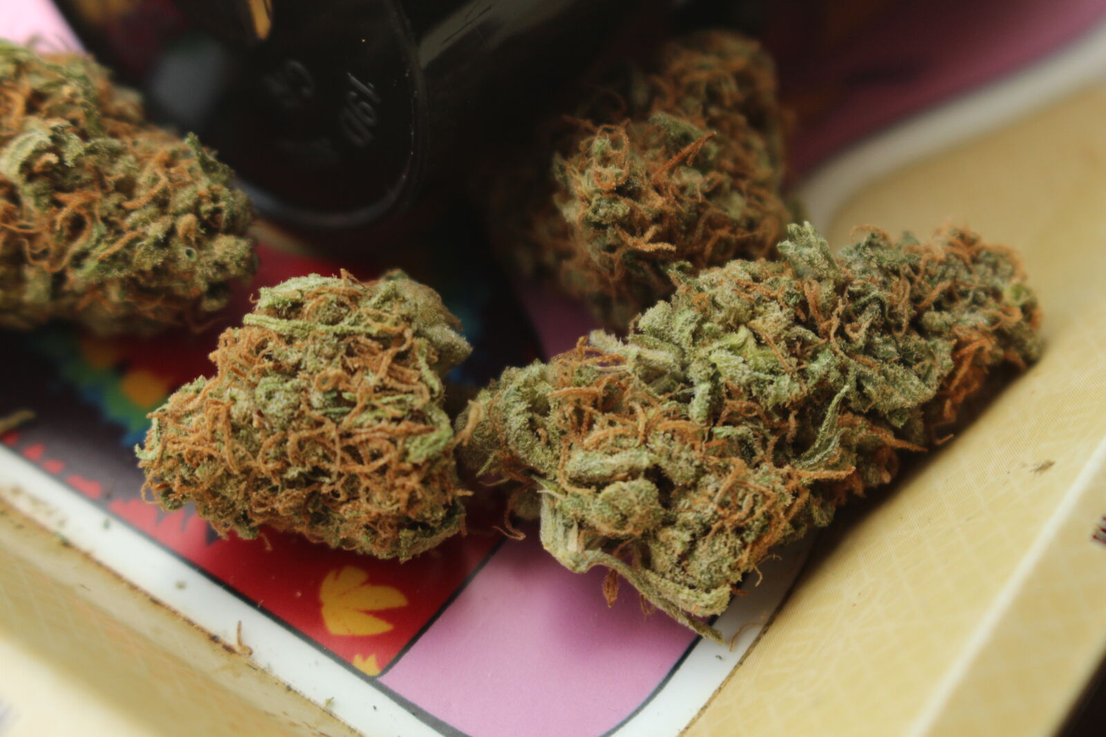 Canon EOS 700D (EOS Rebel T5i / EOS Kiss X7i) sample photo. 420, 710, buds, cannabis photography
