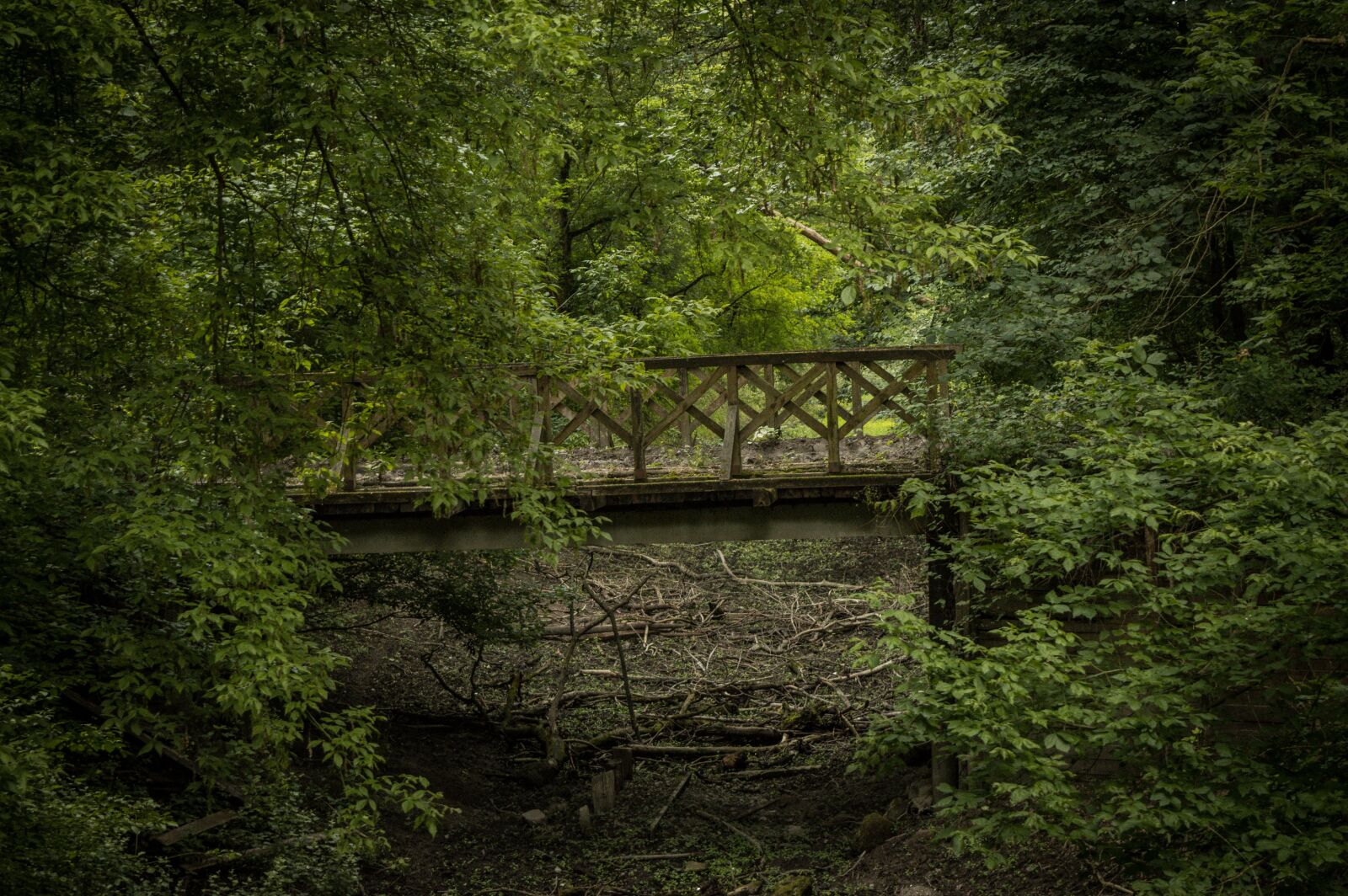 Nikon D3200 sample photo. Bridge, railway, forest photography