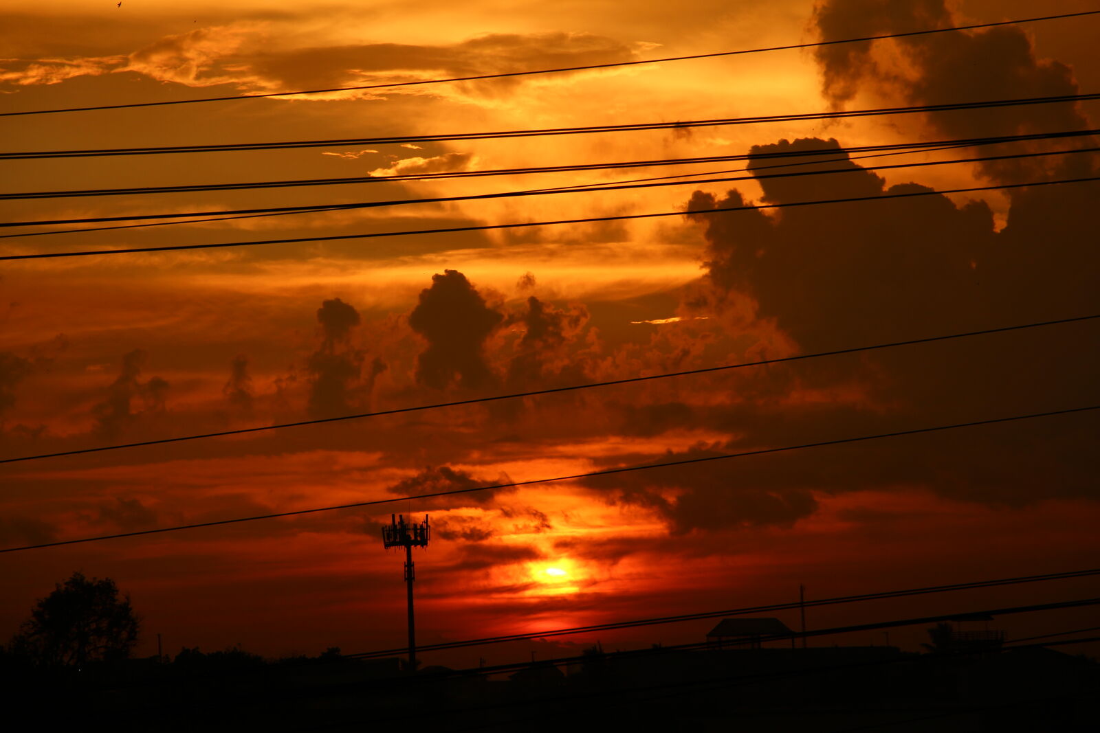 Canon EOS 700D (EOS Rebel T5i / EOS Kiss X7i) sample photo. Nature, photography photography