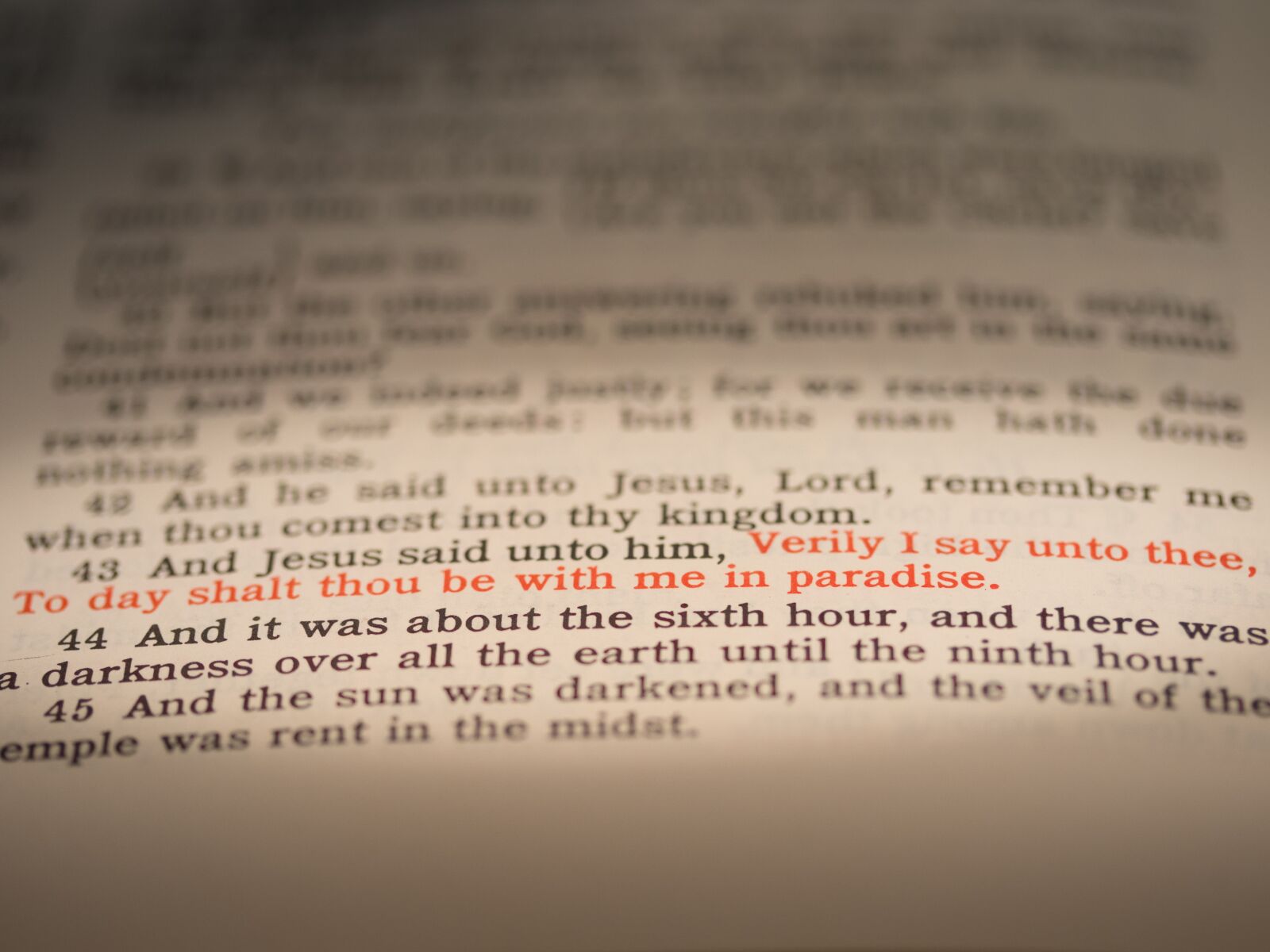 Canon EF-S 60mm F2.8 Macro USM sample photo. Seven last words of photography