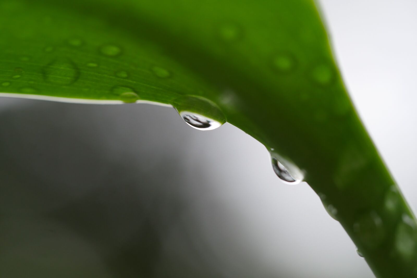 Panasonic Lumix DMC-GX8 sample photo. Water, water point, water photography