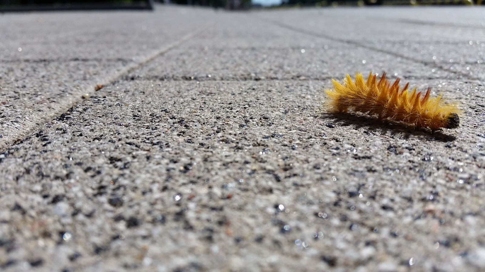 Samsung Galaxy S5 sample photo