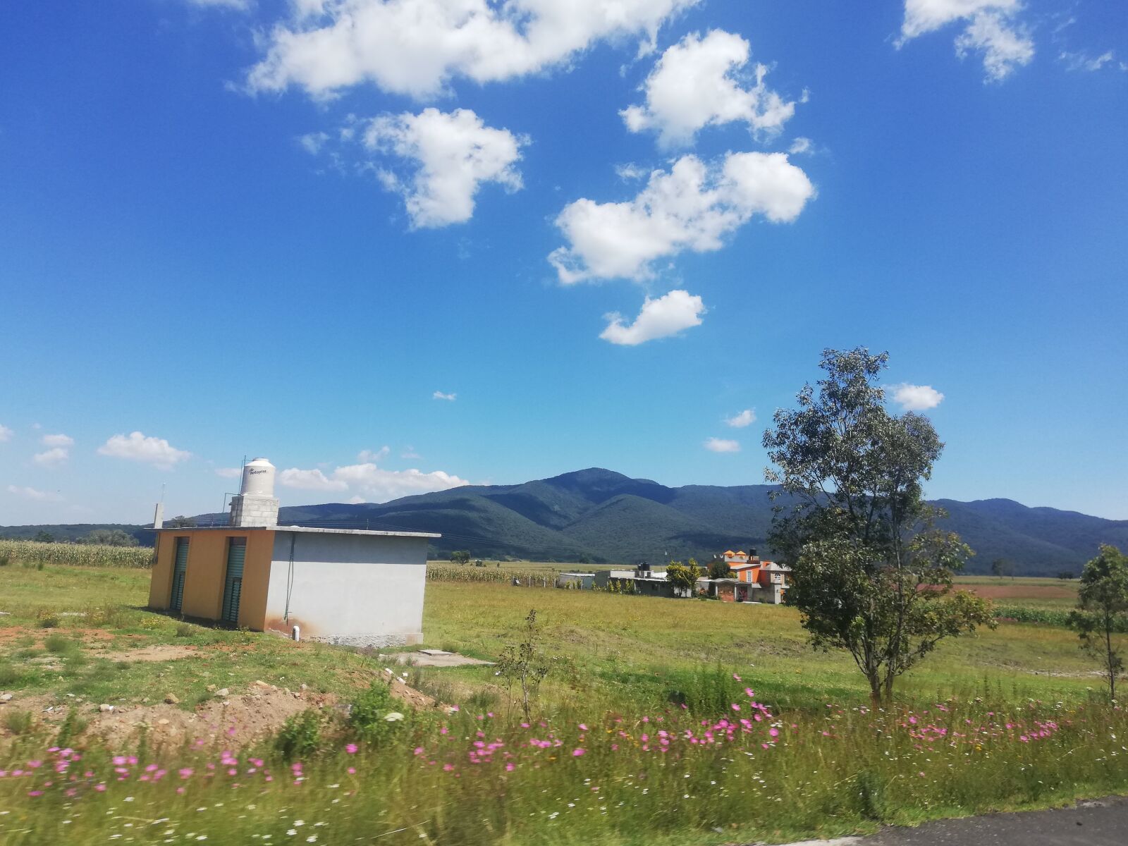 HUAWEI P20 lite sample photo. Chapa de mota, estado photography