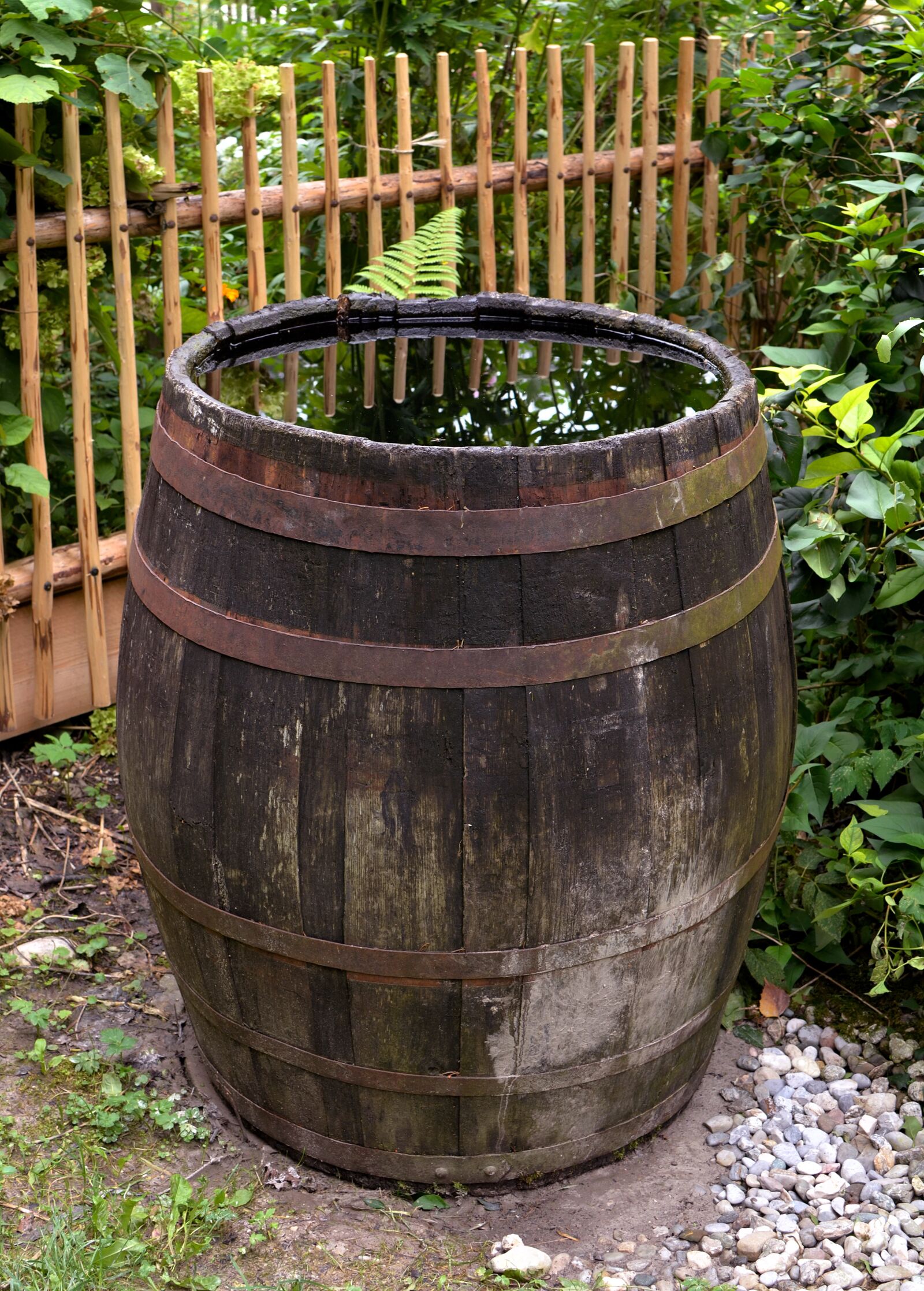 Nikon D7000 sample photo. Barrel, rainwater, water photography