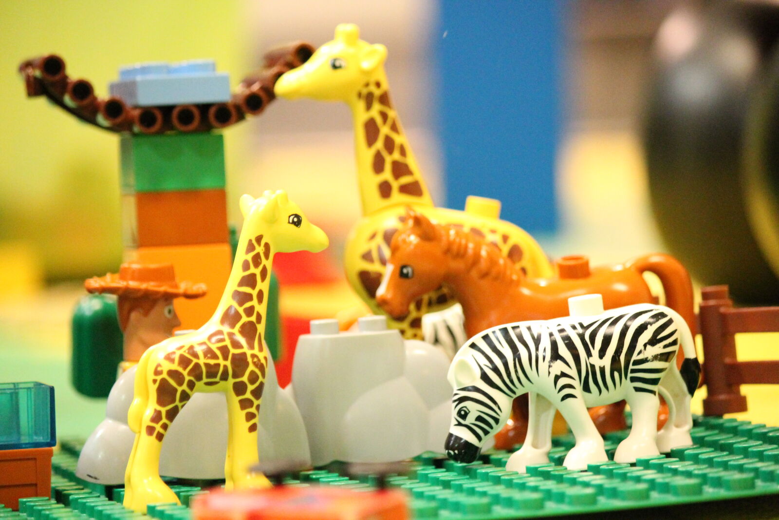 Canon EOS 1100D (EOS Rebel T3 / EOS Kiss X50) sample photo. Animal, toys photography