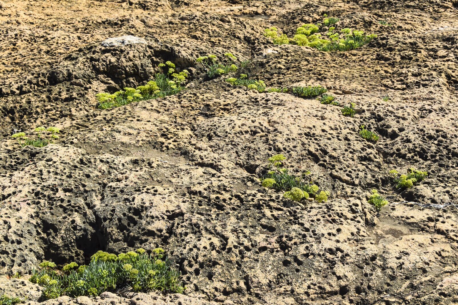 Nikon D5300 sample photo. Texture, meteorite, background photography