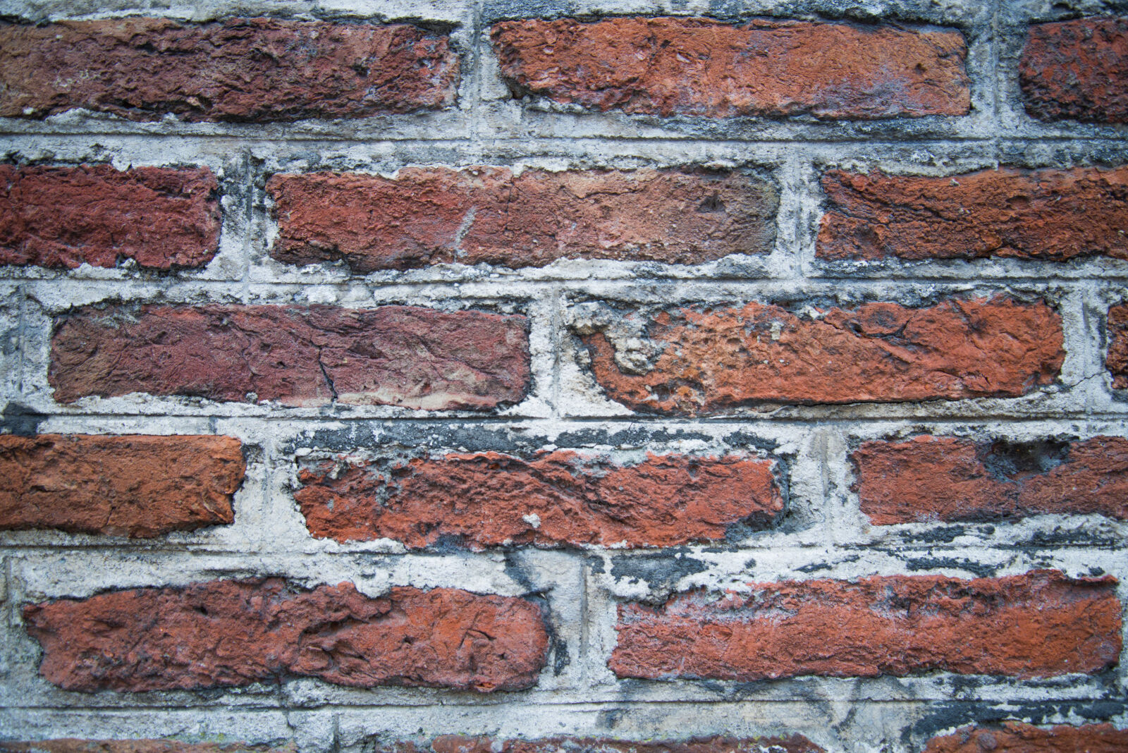 Nikon D600 sample photo. Brick, bricks, house, texture photography