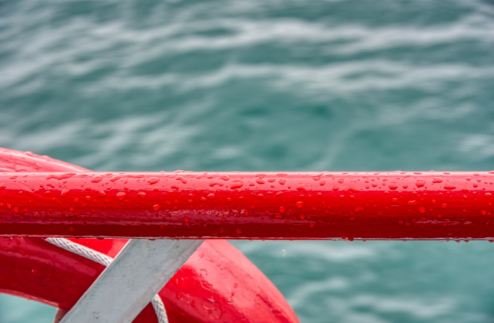 Nikon D750 sample photo. Ship, railing, water photography
