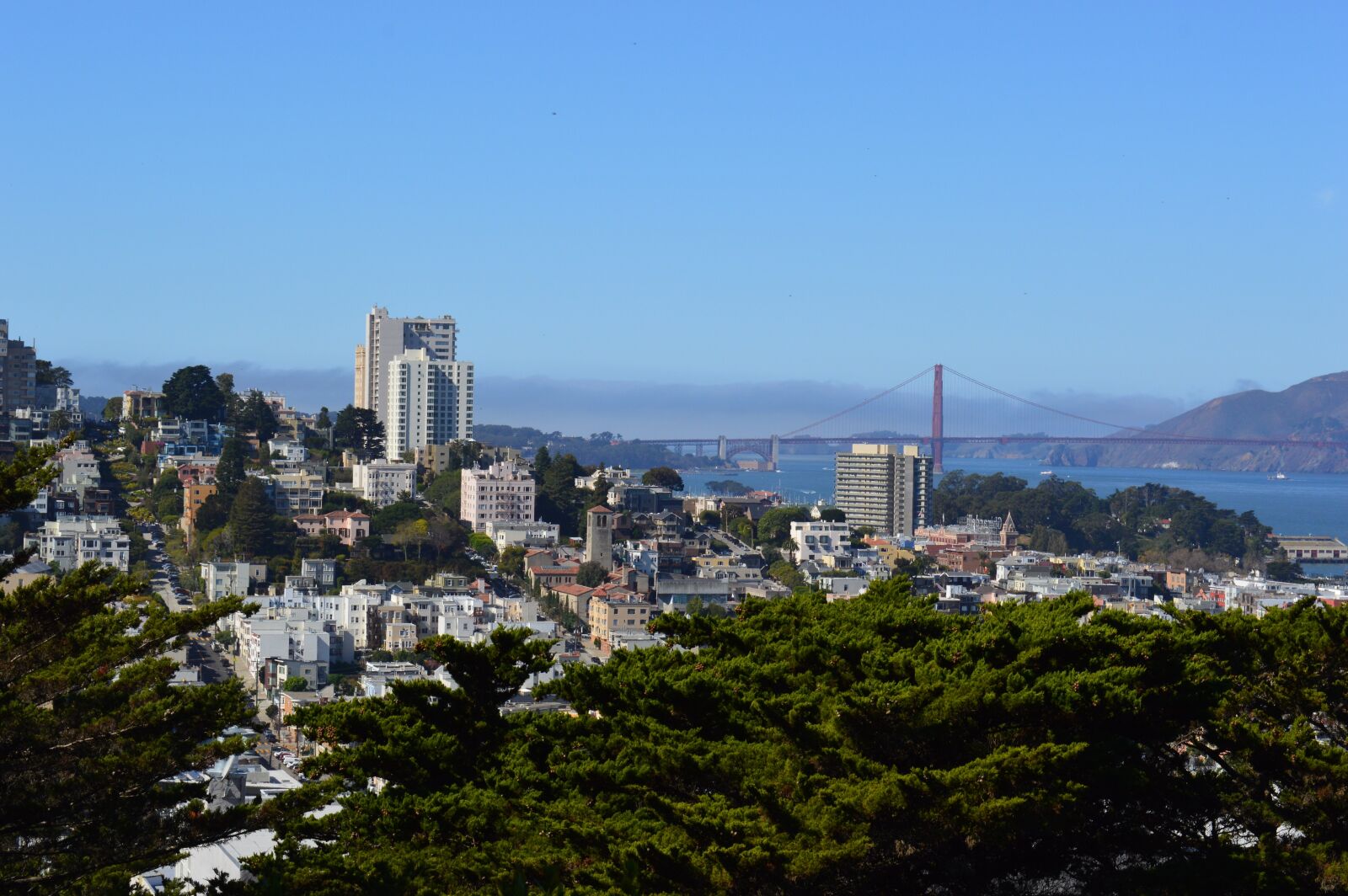 Nikon D3200 sample photo. San francisco, landscape, brooklyn photography