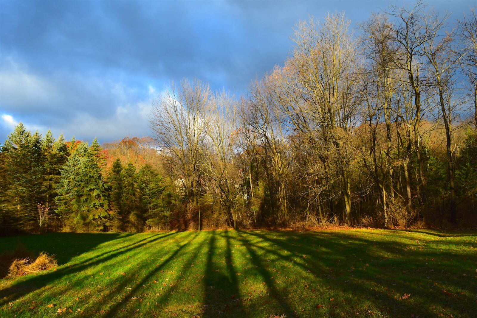 Nikon D3300 sample photo. Sunrise, daylight, shadows photography