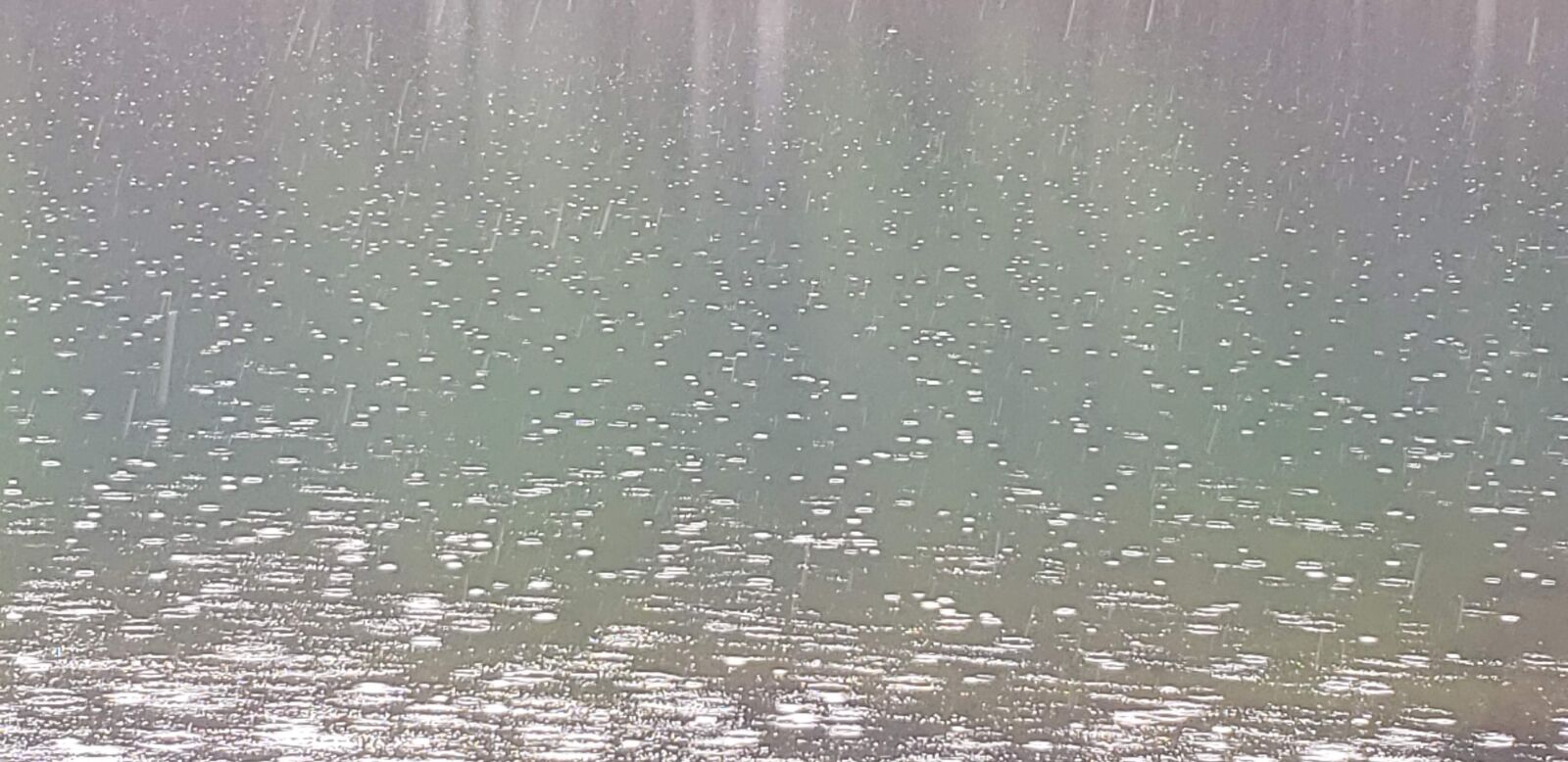 Samsung Galaxy S9+ sample photo. Rain, raindrops, texture photography
