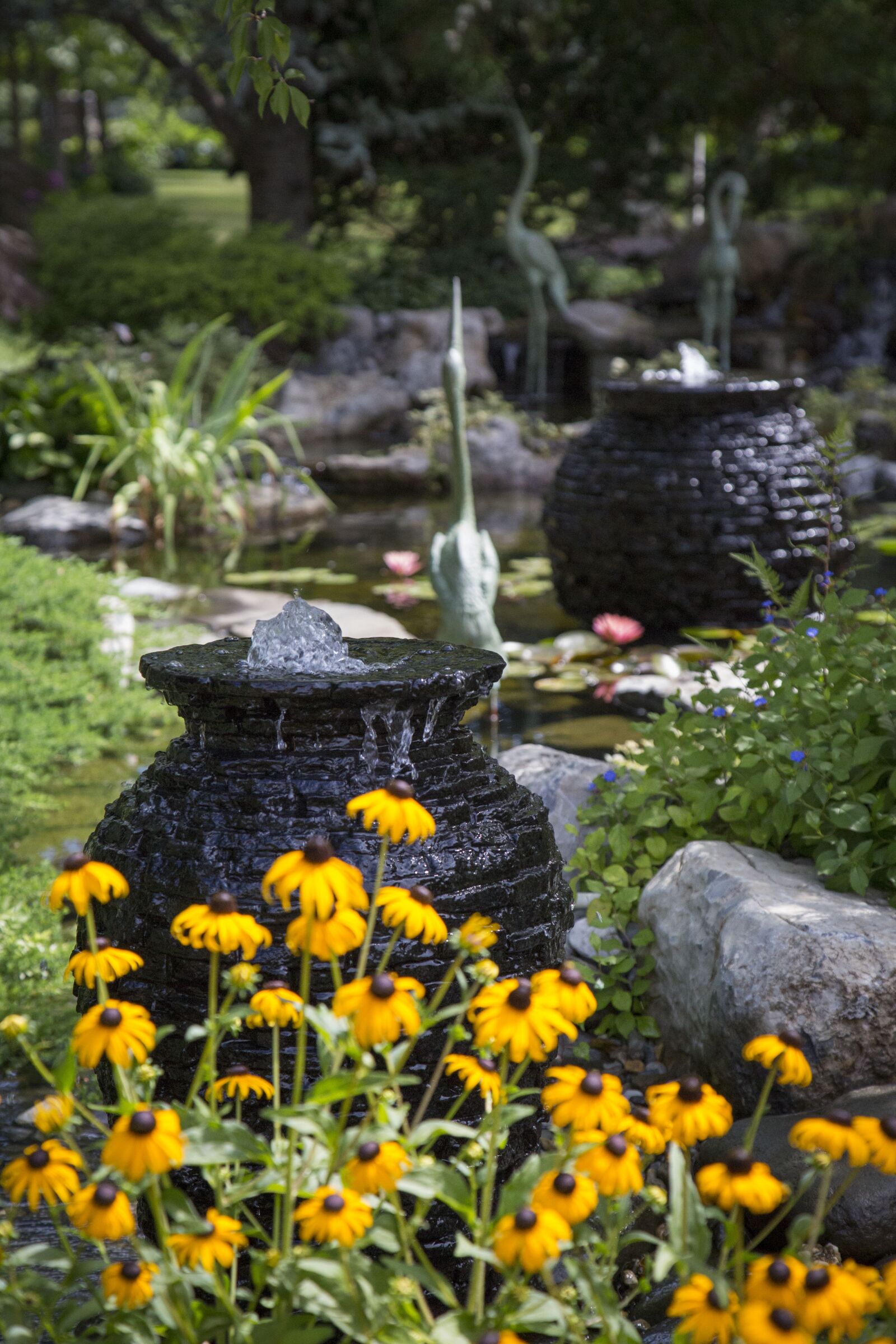 Canon EF 24-105mm F4L IS USM sample photo. Yellow flowers, ponds, fish photography