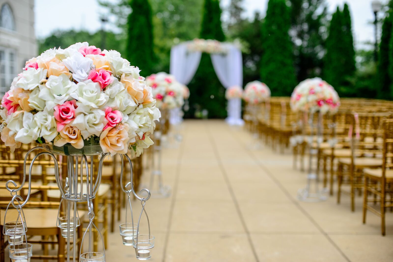 Nikon D800 sample photo. Aisle, bloom, blossom photography