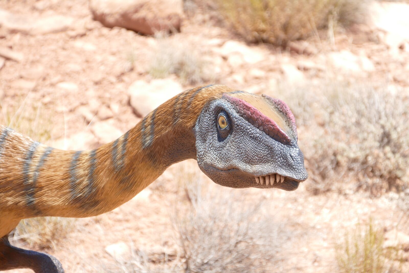Panasonic Lumix DMC-FZ1000 sample photo. Dinosaur, raptor, fossil photography
