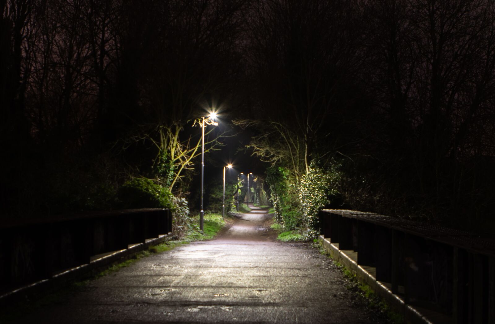Canon EOS 7D Mark II + Canon EF 24-70mm F2.8L USM sample photo. Night time, walkway, path photography