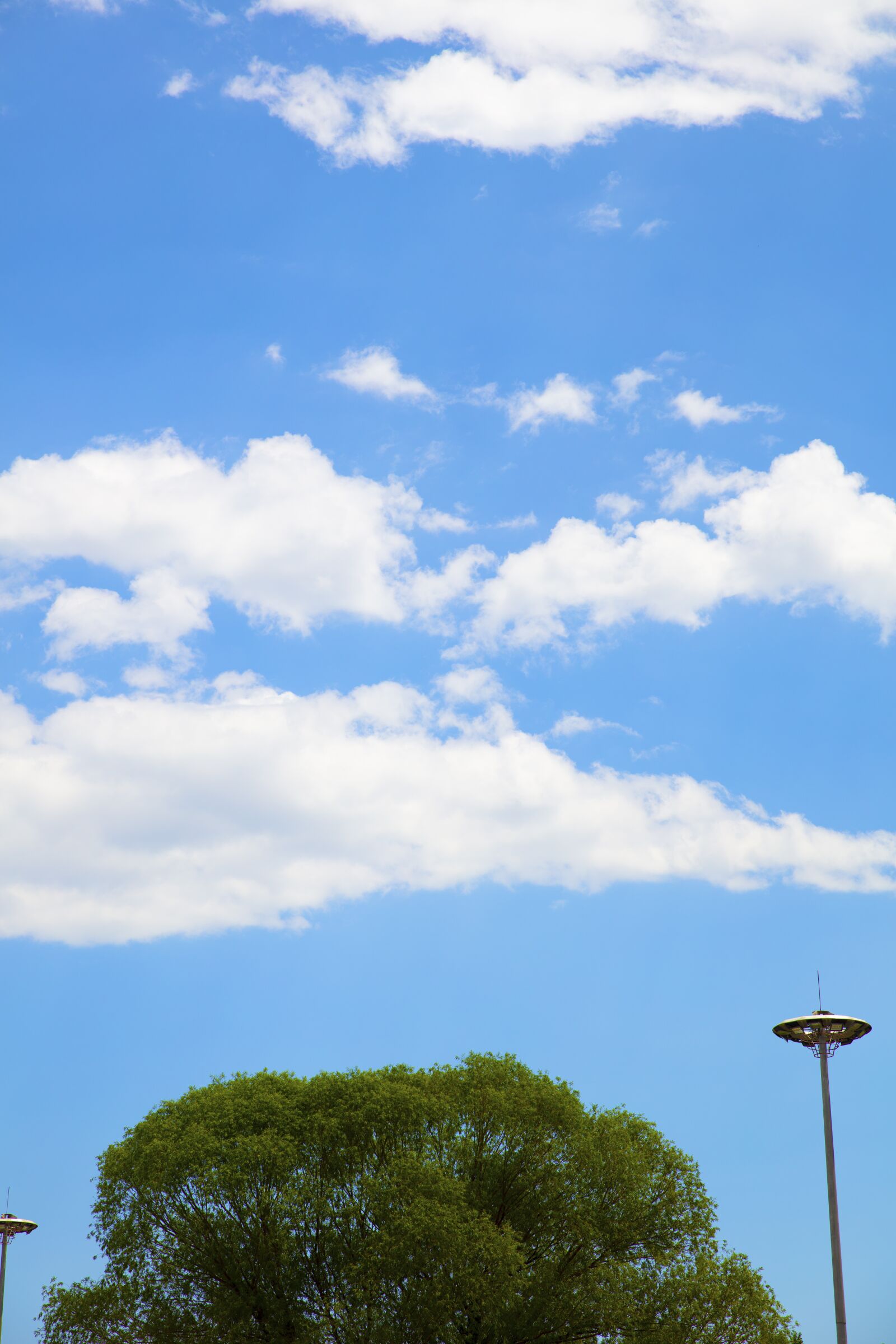 Canon EOS 5DS R + Canon EF 24-70mm F2.8L II USM sample photo. Sky, cloud, blue photography