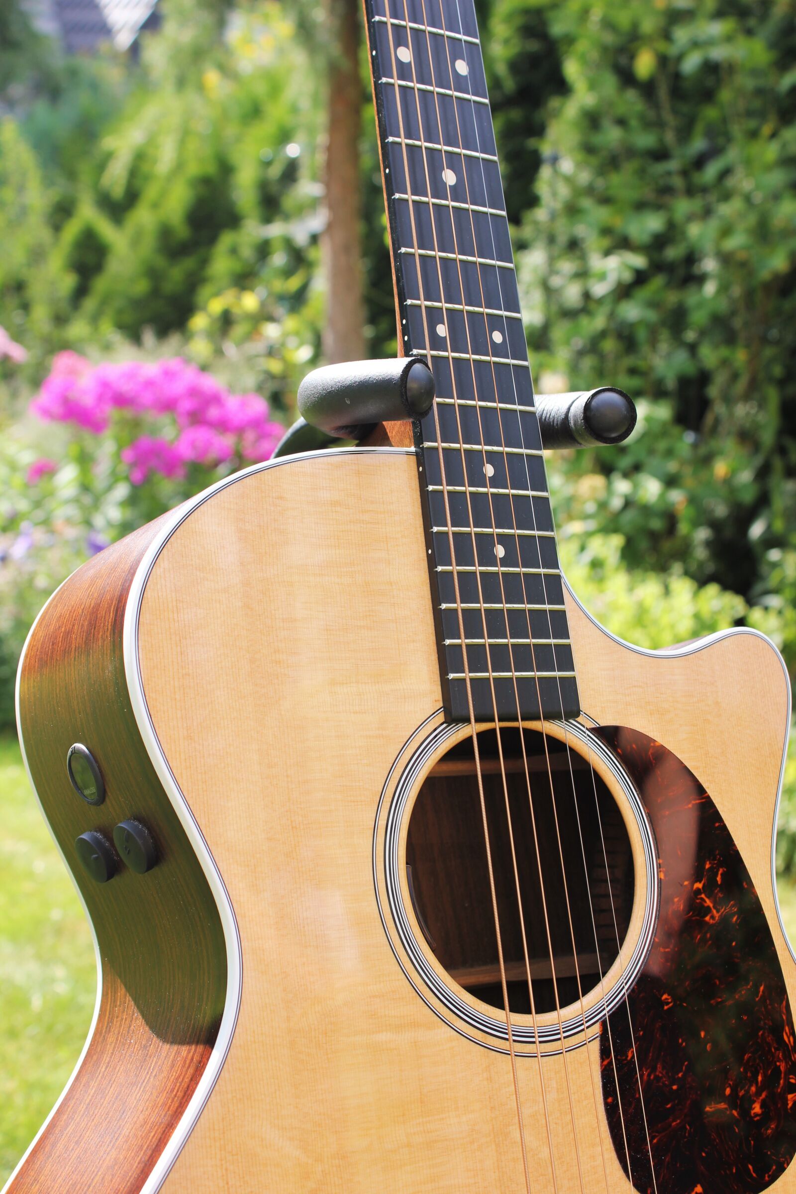 Canon EOS 550D (EOS Rebel T2i / EOS Kiss X4) sample photo. Guitar, close up, garden photography