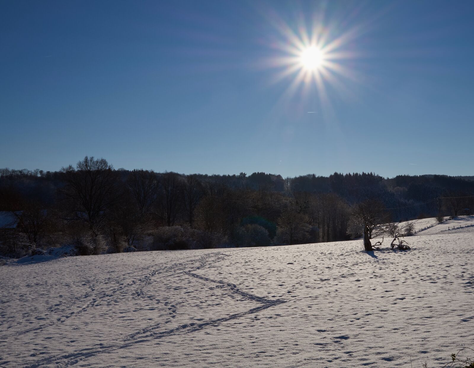 Sony SLT-A58 sample photo. Snow, winter, sun photography