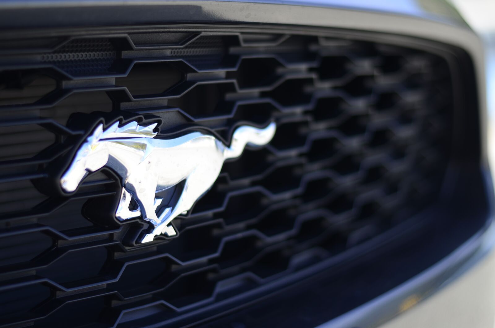 Nikon D7000 sample photo. Usa, california, ford mustang photography