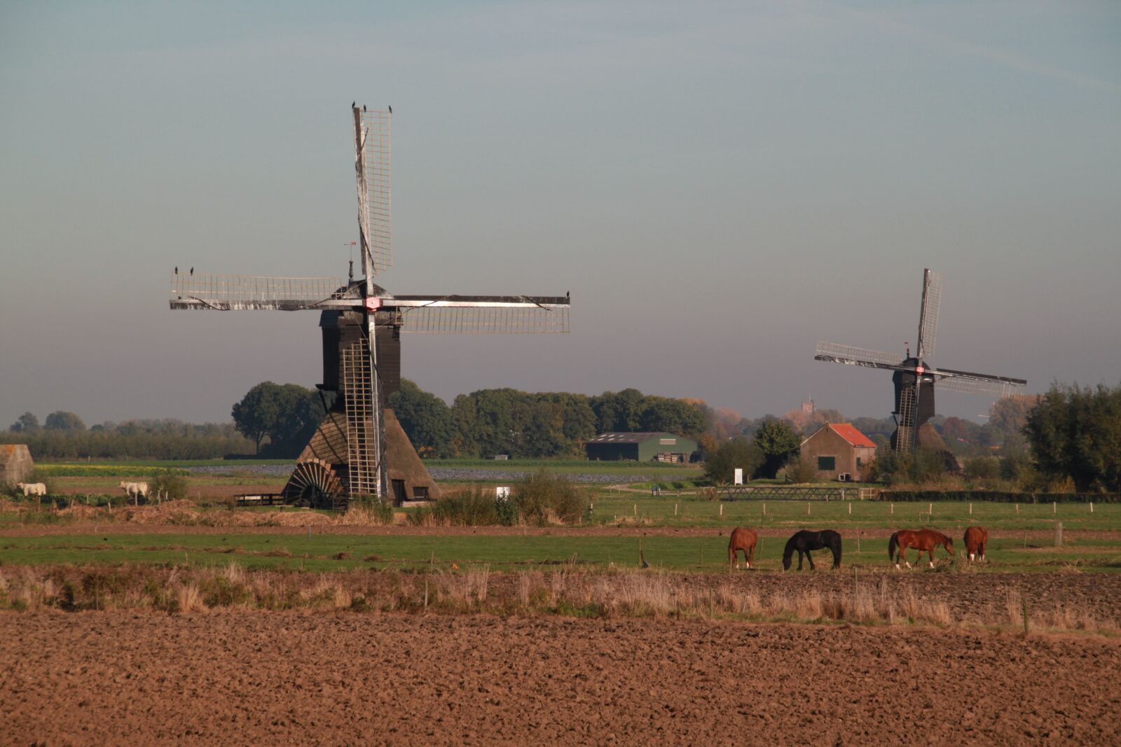 Canon EOS 500D (EOS Rebel T1i / EOS Kiss X3) sample photo. Dutch, landscape, mill photography