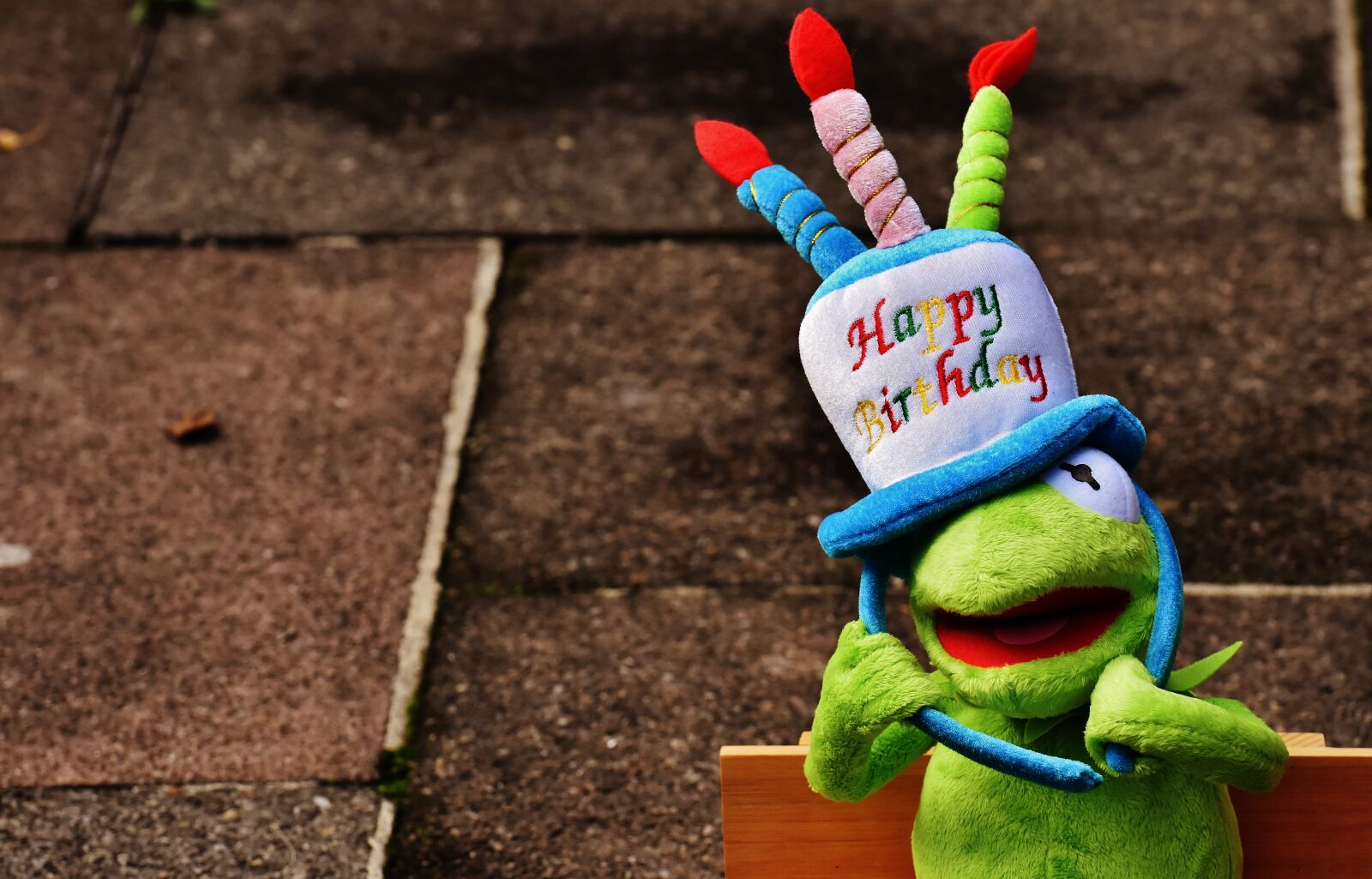 Nikon D7200 sample photo. Birthday, congratulations, kermit photography