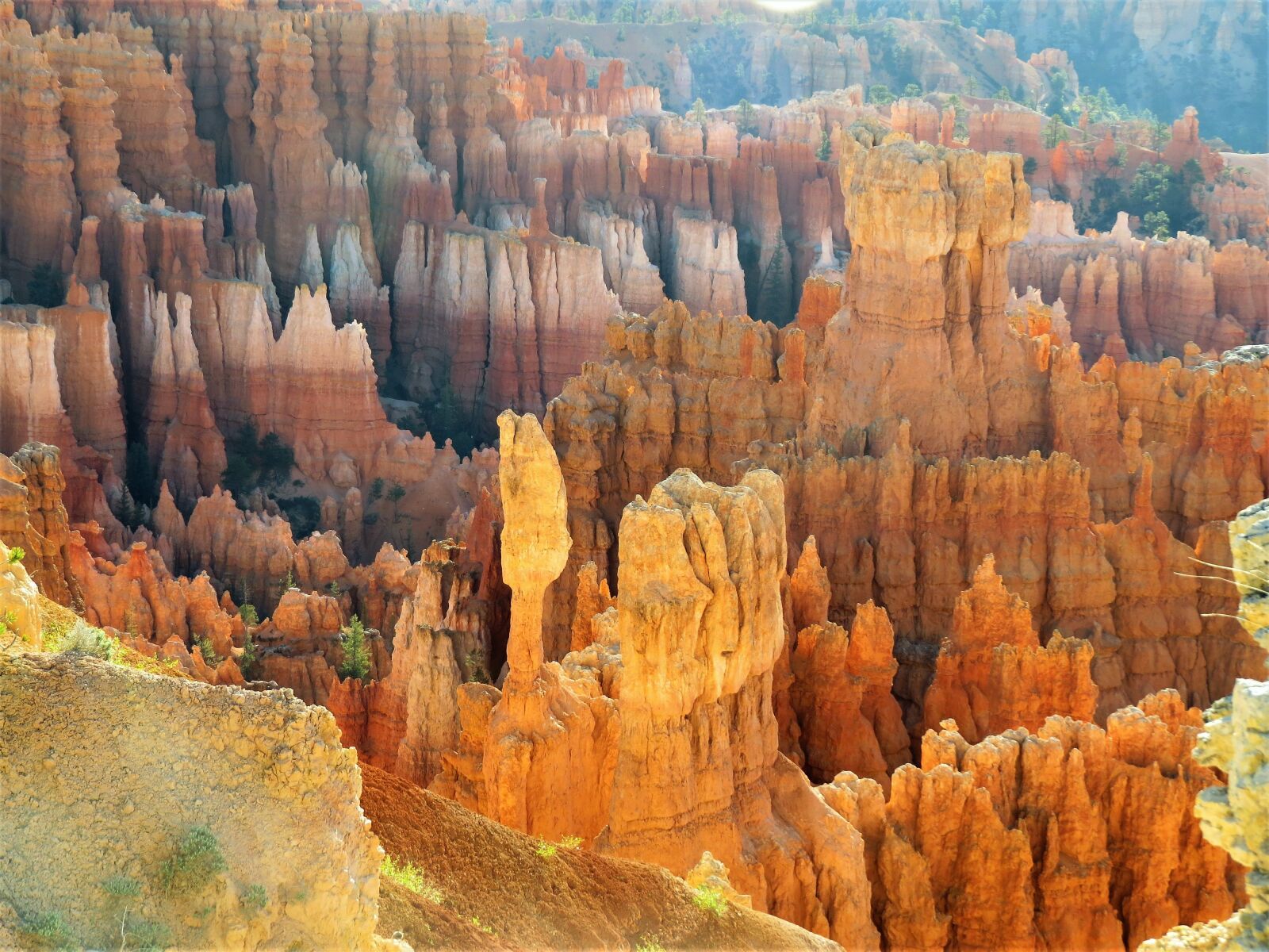 Canon PowerShot SX50 HS sample photo. Bryce canyon, utah, red photography