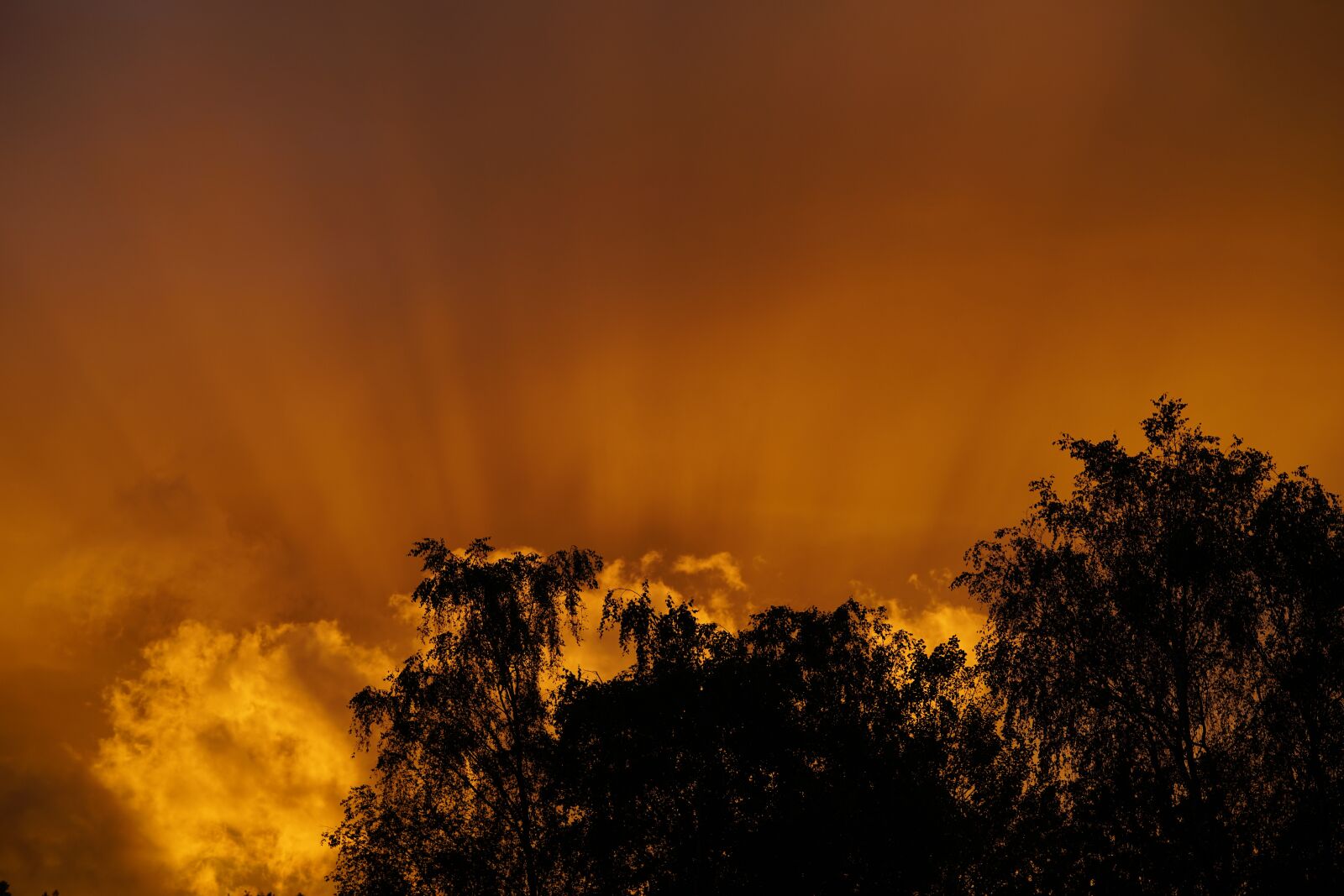 Sony FE 90mm F2.8 Macro G OSS sample photo. Sunset, sunrise, sunbeam photography